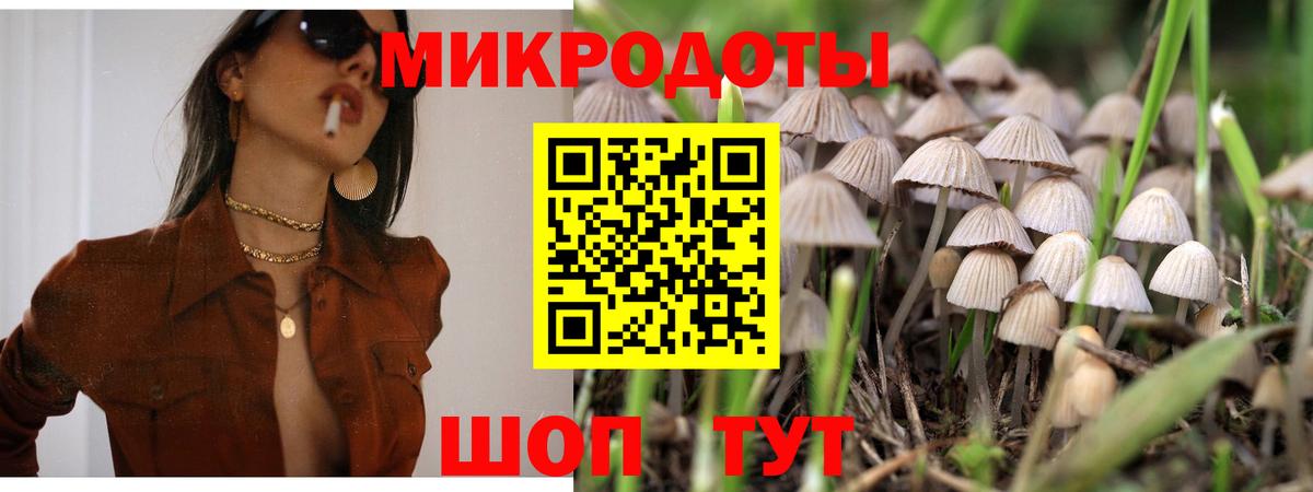 Псилоцибиновые грибы мухоморы Одинцово